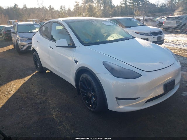 2023 TESLA MODEL Y 7SAYGDEE0PF767856 Photo 0