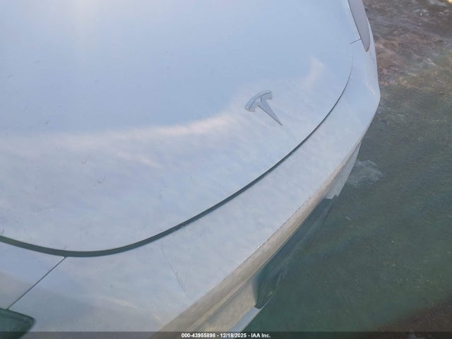 2023 TESLA MODEL Y 7SAYGDEE0PF767856 Photo 9