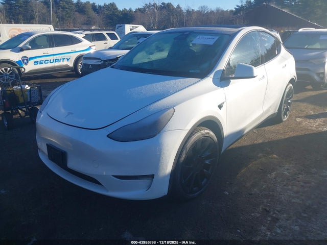 2023 TESLA MODEL Y 7SAYGDEE0PF767856 Photo 1