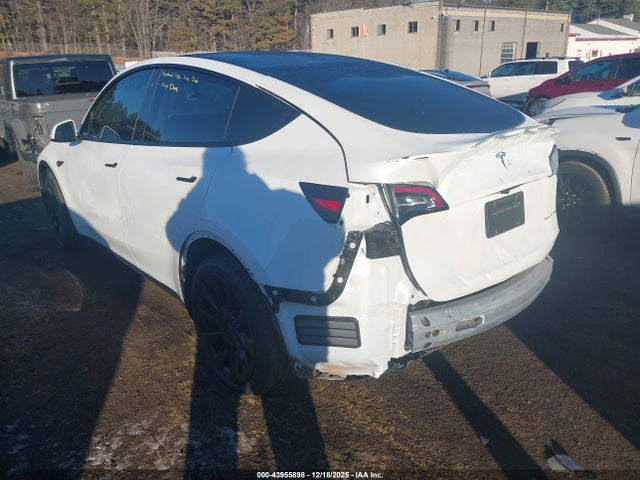 2023 TESLA MODEL Y 7SAYGDEE0PF767856 Photo 2