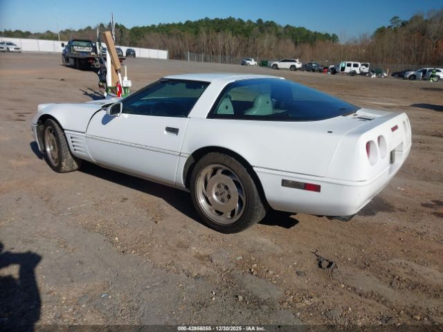 1994 CHEVROLET CORVETTE 1G1YY22P1R5107018 Photo 2
