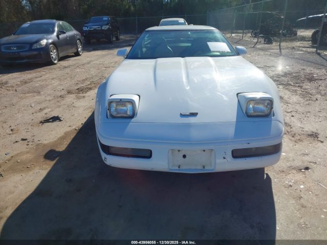 1994 CHEVROLET CORVETTE 1G1YY22P1R5107018 Photo 5