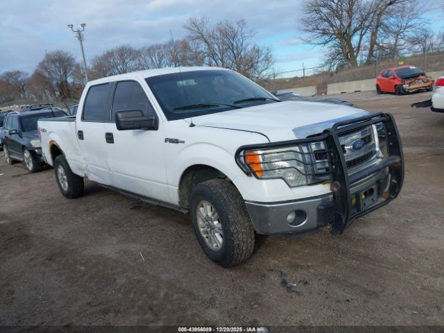 2014 FORD F-150 1FTVW1EFXEKF80442