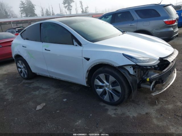 2021 TESLA MODEL Y 5YJYGDEE5MF286039