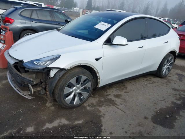 2021 TESLA MODEL Y 5YJYGDEE5MF286039 Photo 1
