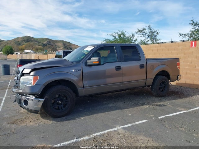 1FTFW1CF3EKE84479 Ford F-150 Xlt