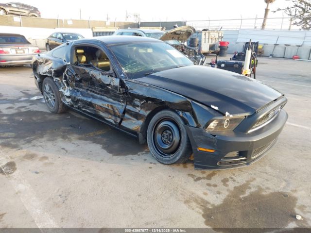 2013 FORD MUSTANG 1ZVBP8AM7D5273124