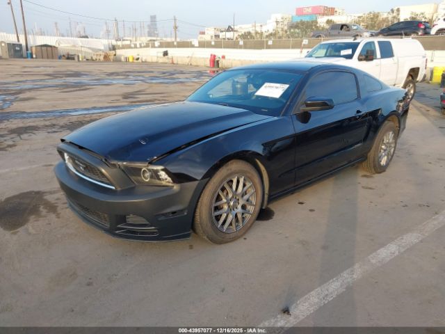2013 FORD MUSTANG 1ZVBP8AM7D5273124 Photo 1