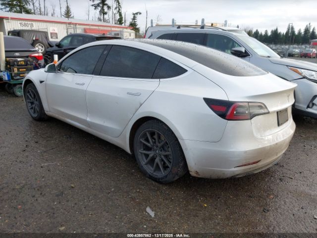 2020 TESLA MODEL 3 5YJ3E1EA0LF612906 Photo 2