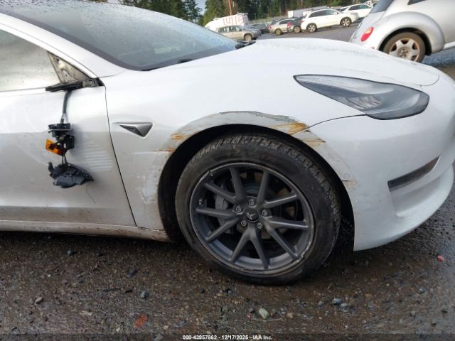 2020 TESLA MODEL 3 5YJ3E1EA0LF612906 Photo 5