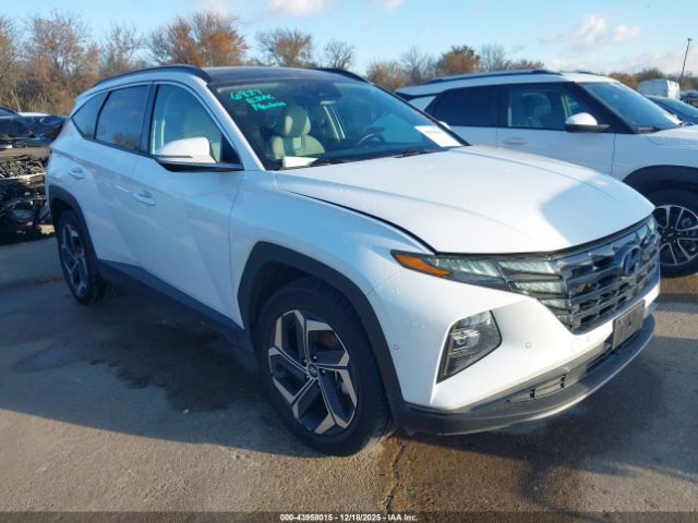 2024 HYUNDAI TUCSON PLUG-IN HYBRID KM8JFDD26RU159855