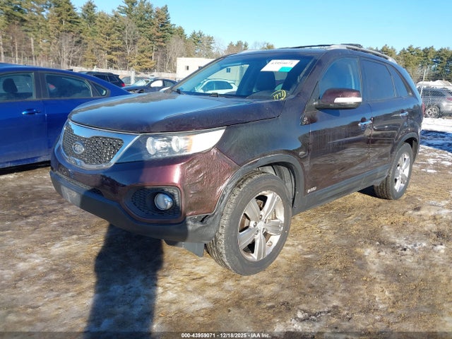 2013 Kia Sorento Ex მანქანა იყიდება აუქციონზე, vin: 5XYKUDA66DG354483, აუქციონის ნომერი: 43959071