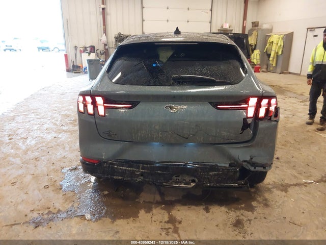 Ford Mustang Mach-e Premium 2023 3FMTK3SU0PMA54233 Image 16