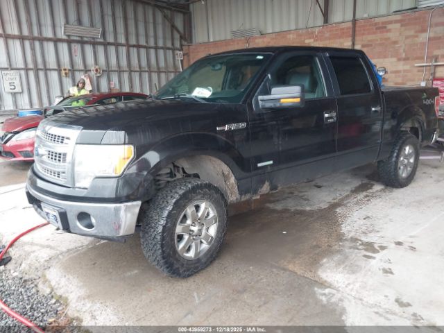 2013 FORD F-150 1FTFW1ET7DKG39679 Photo 1