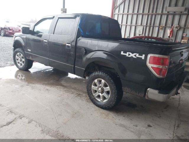 2013 FORD F-150 1FTFW1ET7DKG39679 Photo 2