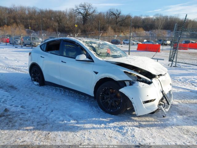2020 TESLA MODEL Y 5YJYGDEE3LF017097