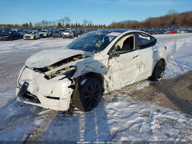 2020 TESLA MODEL Y 5YJYGDEE3LF017097 Photo 1