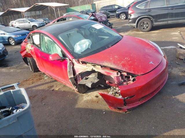 2023 TESLA MODEL 3 5YJ3E1EC7PF587560 Photo 0