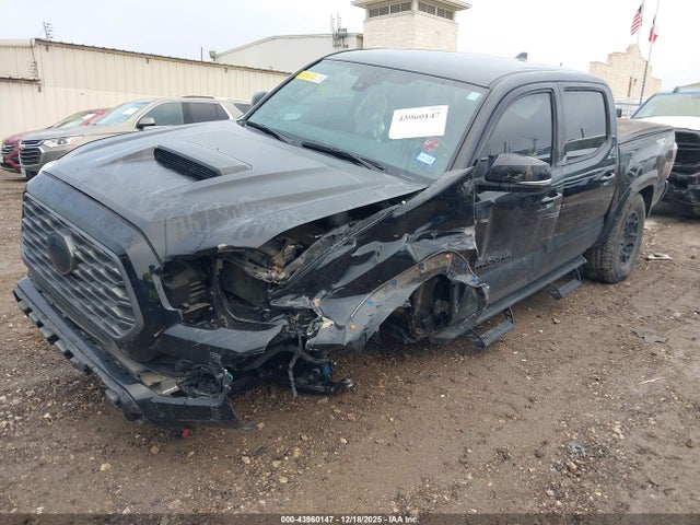 3TMCZ5AN6PM585846 Toyota Tacoma Trd Sport