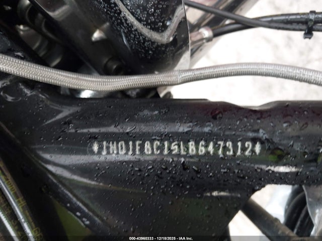 Harley-Davidson FLHR 2020 1HD1FBC15LB647312 Image 10
