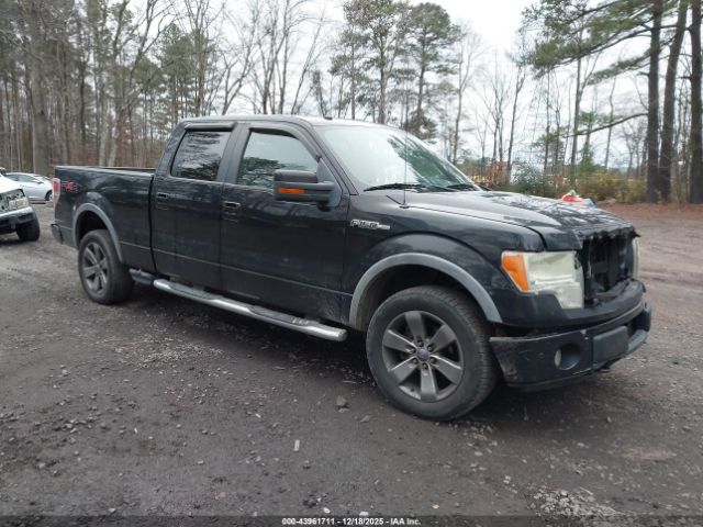 2009 FORD F-150 1FTPW14V89FB19532