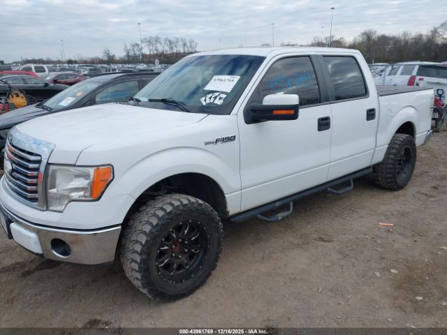 2013 FORD F-150 1FTEW1CM6DFB29078 Photo 1