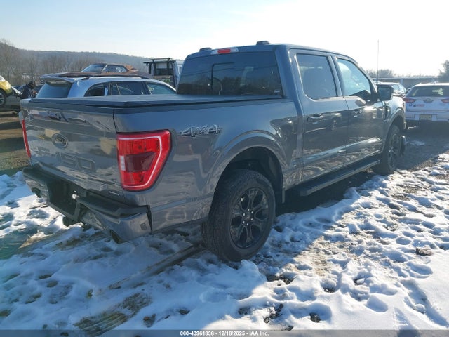 2023 FORD F-150 1FTFW1E88PFD25001 Photo 3