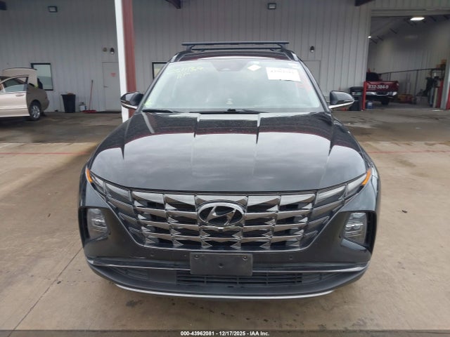Hyundai Tucson Limited 2023 5NMJECAE1PH288025 Image 12