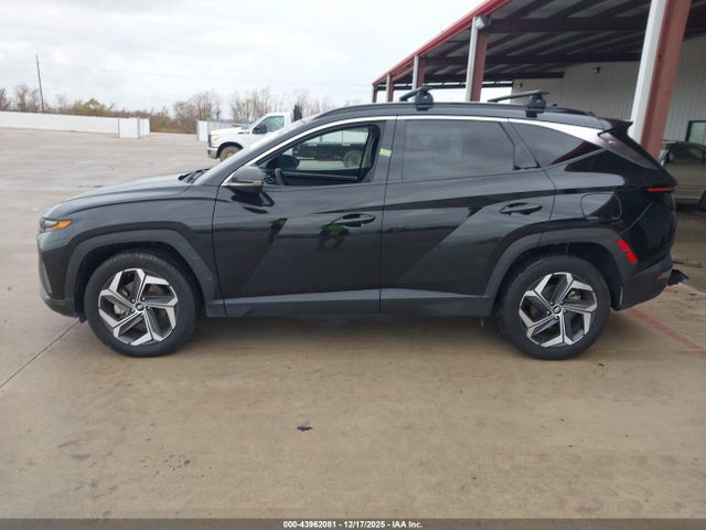 Hyundai Tucson Limited 2023 5NMJECAE1PH288025 Image 14