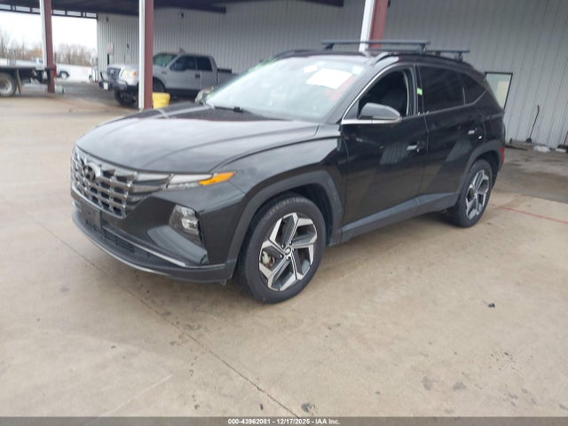 Hyundai Tucson Limited 2023 5NMJECAE1PH288025 Image 2