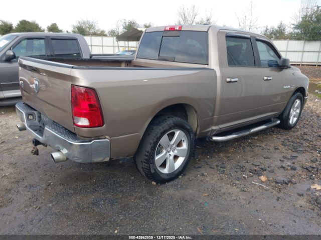 2010 DODGE RAM 1500 1D7RB1CTXAS206144 Photo 3