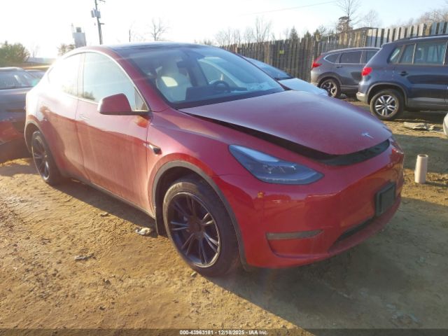 2023 TESLA MODEL Y 7SAYGDEE8PF917907