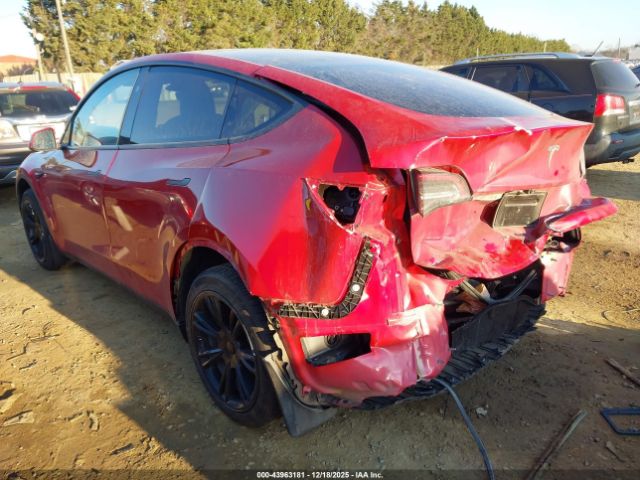 2023 TESLA MODEL Y 7SAYGDEE8PF917907 Photo 2
