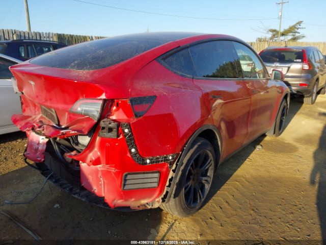 2023 TESLA MODEL Y 7SAYGDEE8PF917907 Photo 3