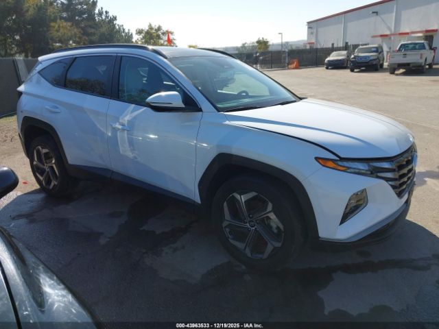 2023 HYUNDAI TUCSON HYBRID KM8JFCA1XPU106269