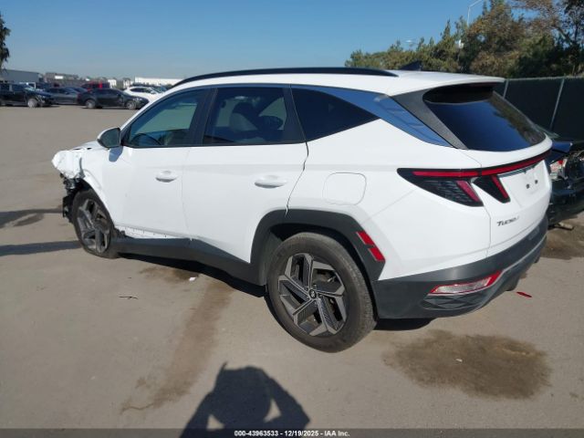 2023 HYUNDAI TUCSON HYBRID KM8JFCA1XPU106269 Photo 2