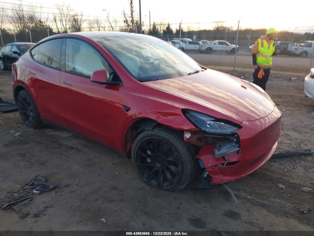 2023 TESLA MODEL Y 7SAYGDEE3PA184128 Photo 0