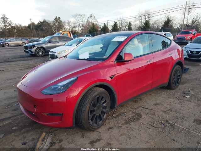2023 TESLA MODEL Y 7SAYGDEE3PA184128 Photo 1
