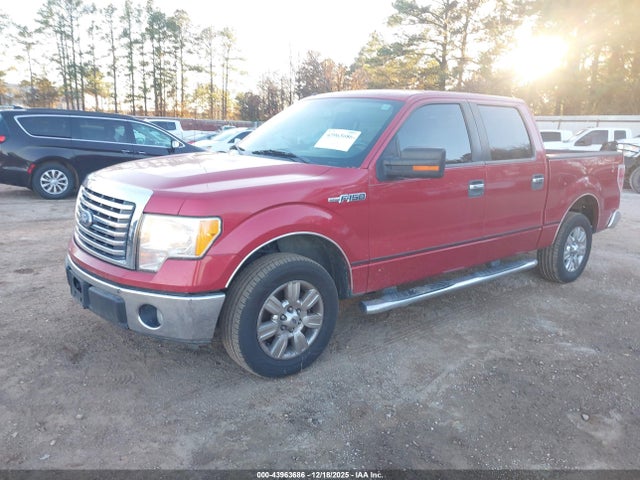 2010 FORD F-150 1FTEW1C86AFD87518 Photo 1