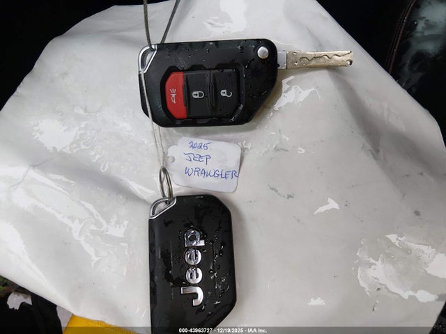 2025 JEEP WRANGLER 1C4PJXFG9SW543677 Photo 10