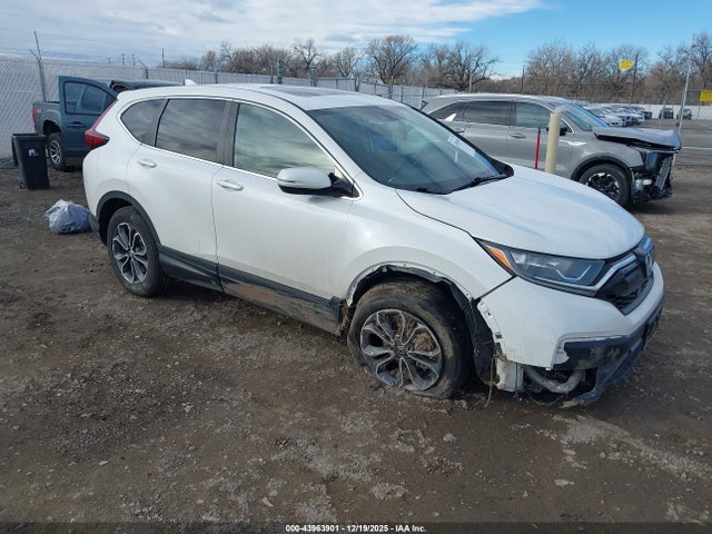 2020 HONDA CR-V 2HKRW2H80LH694837
