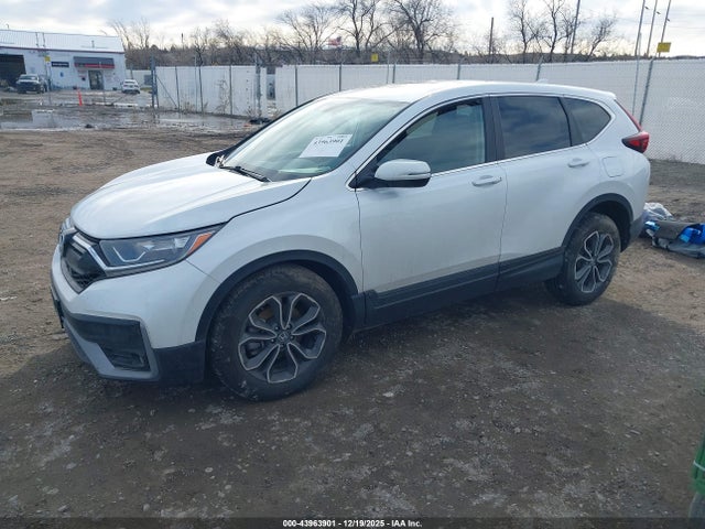 2020 HONDA CR-V 2HKRW2H80LH694837 Photo 1