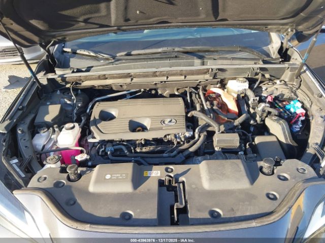2024 LEXUS NX 350H 2T2AKCEZ7RC024785 Photo 9