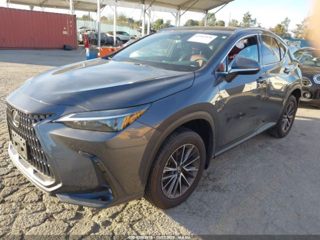 2024 LEXUS NX 350H 2T2AKCEZ7RC024785 Photo 1