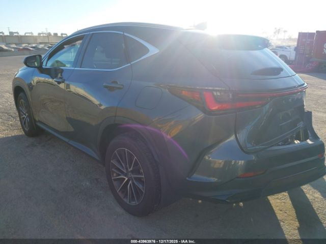 2024 LEXUS NX 350H 2T2AKCEZ7RC024785 Photo 2