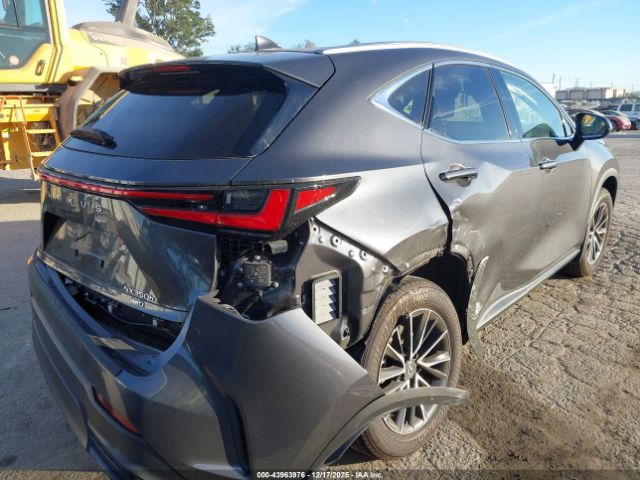 2024 LEXUS NX 350H 2T2AKCEZ7RC024785 Photo 3