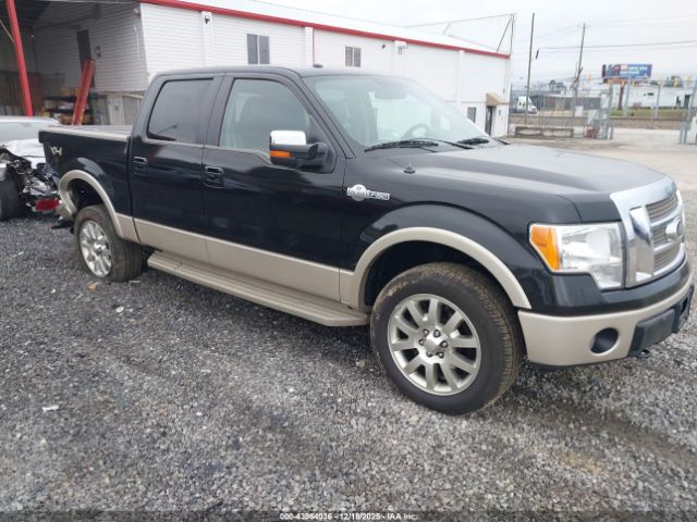 2010 FORD F-150 1FTFW1EV1AKE78372