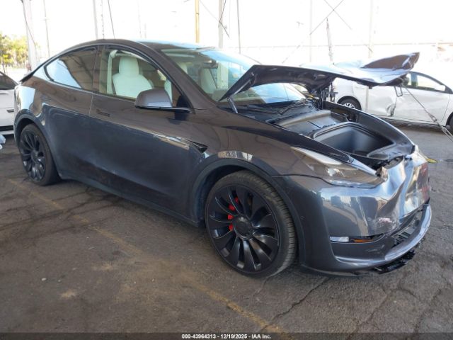 2022 TESLA MODEL Y 7SAYGDEF9NF511687