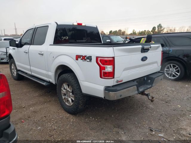 2019 FORD F-150 1FTEW1E53KKE60176 Photo 2