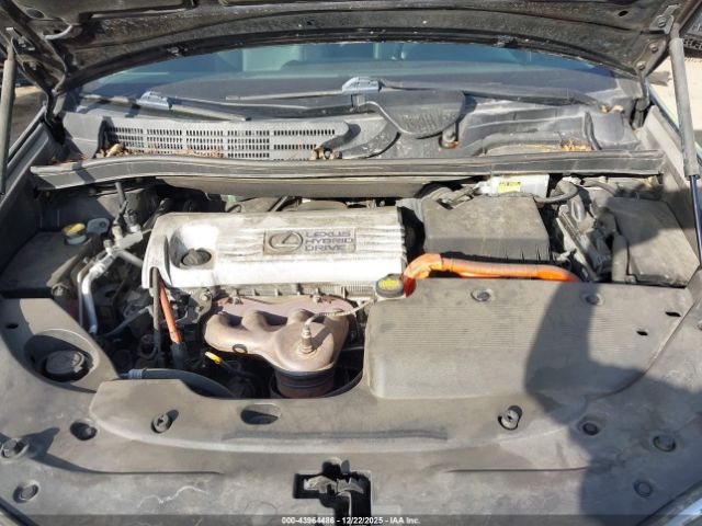 2010 LEXUS HS 250H JTHBB1BA3A2032461 Photo 9